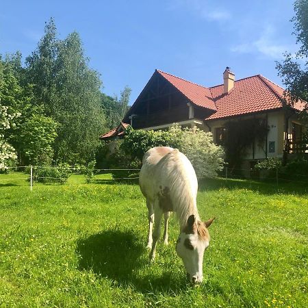 Bed and Breakfast Modryna Ranczo Krasiczyn Exteriér fotografie