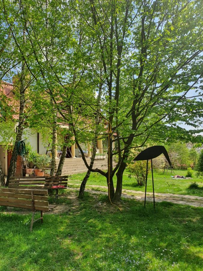 Bed and Breakfast Modryna Ranczo Krasiczyn Exteriér fotografie