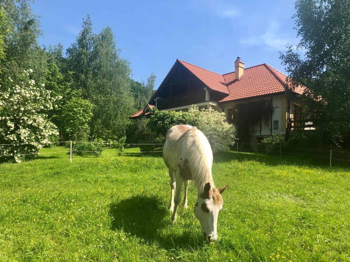 Bed and Breakfast Modryna Ranczo Krasiczyn Exteriér fotografie